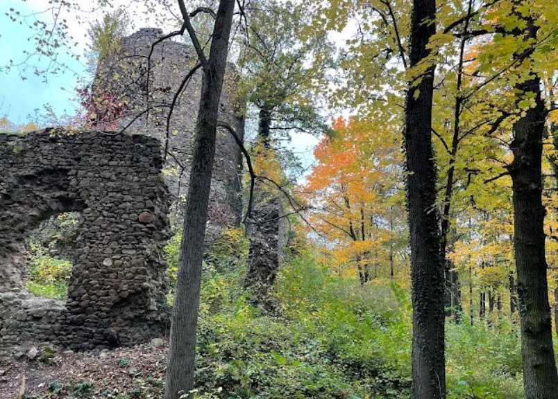 Cisy Castle, Poland, Poland